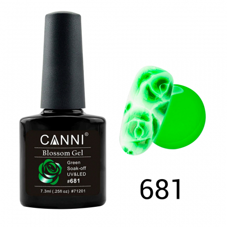 Oja semipermanenta, Canni, Blossom 681 [1]