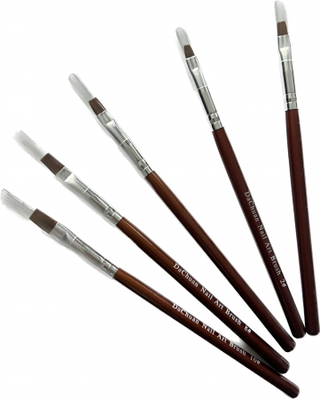Pensule pentru unghii Dachuan, set 5 buc [0]