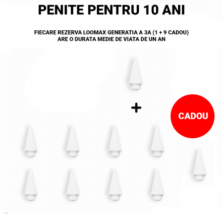 Stylus Pen, Loomax, pix pentru tableta iPad Apple, 10 penite anti-zgarieturi, 1 functie Palm Rejection, Tilt, Magnetic, USB-C, Alb [7]