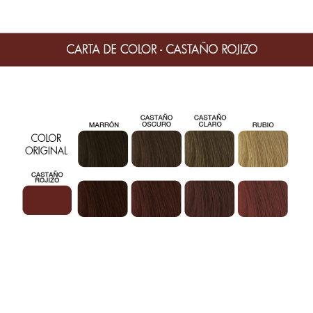 Thuya Professional Chestnut - Vopsea pentru gene si sprancene castaniu 14ml [1]