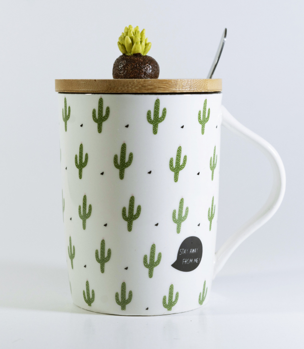 Cana cu lingurita si capac, model Cactus, 300ml [1]