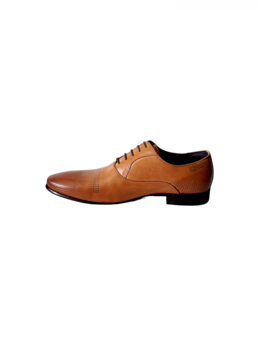 Pantofi Barbati Piele Naturala Camel Efrem B00197 [3]