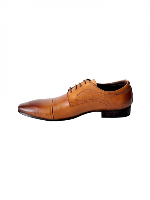 Pantofi Barbati Piele Naturala Camel Emilian B00195 [3]