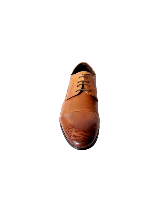 Pantofi Barbati Piele Naturala Camel Emilian B00195 [4]