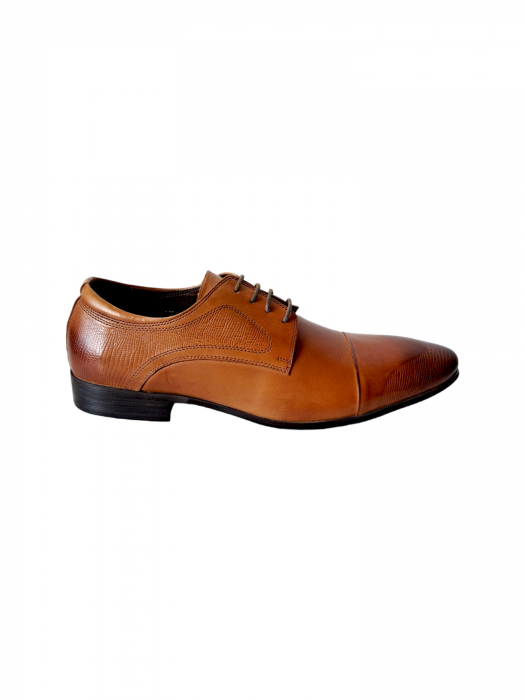 Pantofi Barbati Piele Naturala Camel Emilian B00195 [2]