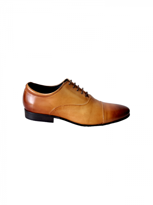 Pantofi Barbati Piele Naturala Camel Eugen B00196 [2]