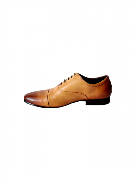 Pantofi Barbati Piele Naturala Camel Eugen B00196 [3]
