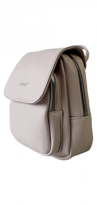 Rucsac Dama Grej Alva Silvia Rosa G03592 [3]