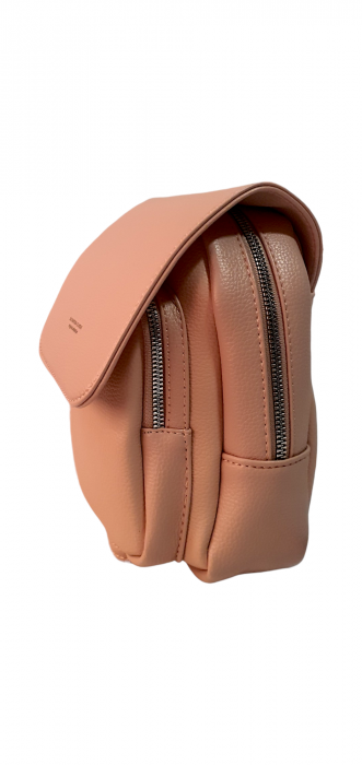 Rucsac Dama Nude Alva Silvia Rosa G03593 [3]