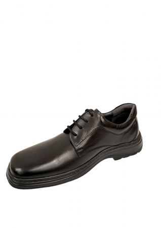 Pantofi Barbati Piele Naturala Denis Negri Nicolae B00129 [1]