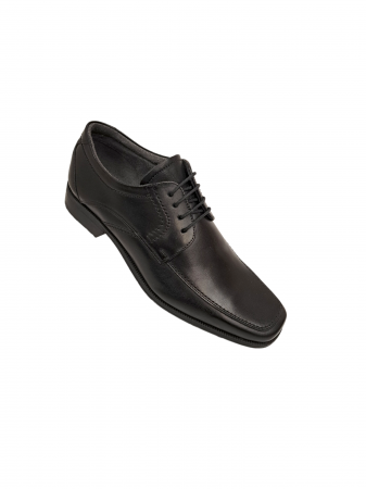 Pantofi Barbati Piele Naturala Denis Negri Valentin B00153 [3]