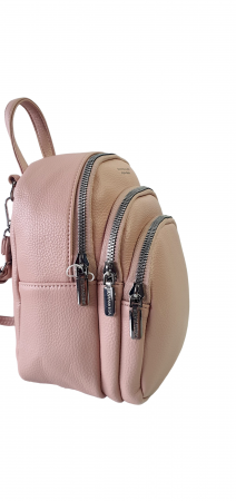 Rucsac Dama Nude Anita Silvia Rosa G03590 [1]