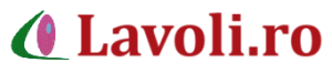 Lavoli.ro