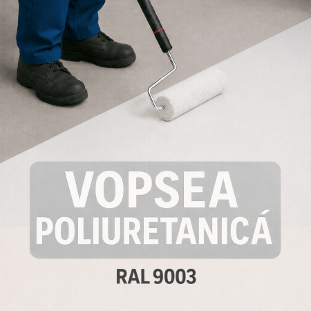 Vopsea poliuretanica de exterior. [1]