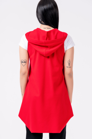 Vesta dama, Lazo [3]