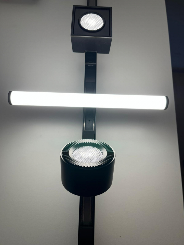 Proiector Liniar Sina Magnetica Orientabil Negru 10W 4000k [2]
