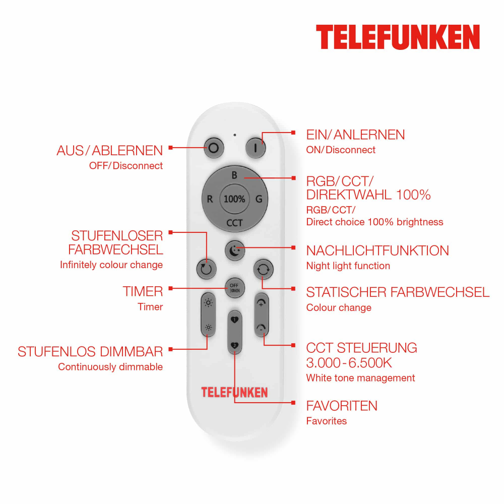 Telecomanda spot 310102TF [2]