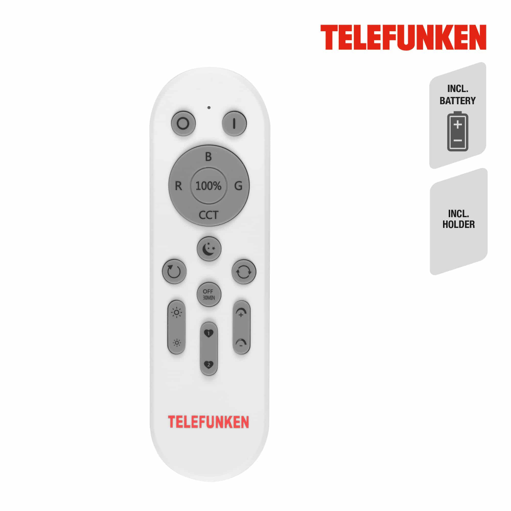 Telecomanda spot 310102TF [3]