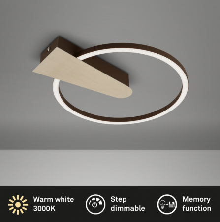 Lustra LED integrat Briloner Leuchen Nico Circle, 12W, 1400 lumeni, lumina calda (3000K), dimmabil in trepte cu functie de memorie, 34x4cm, Auriu [3]