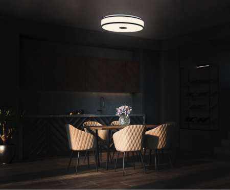 Plafoniere - Plafoniera LED Briloner Rotunda, 18W, 2200 lumeni, lumina neutra (4000K), 38x9.5 cm, Alb/Negru