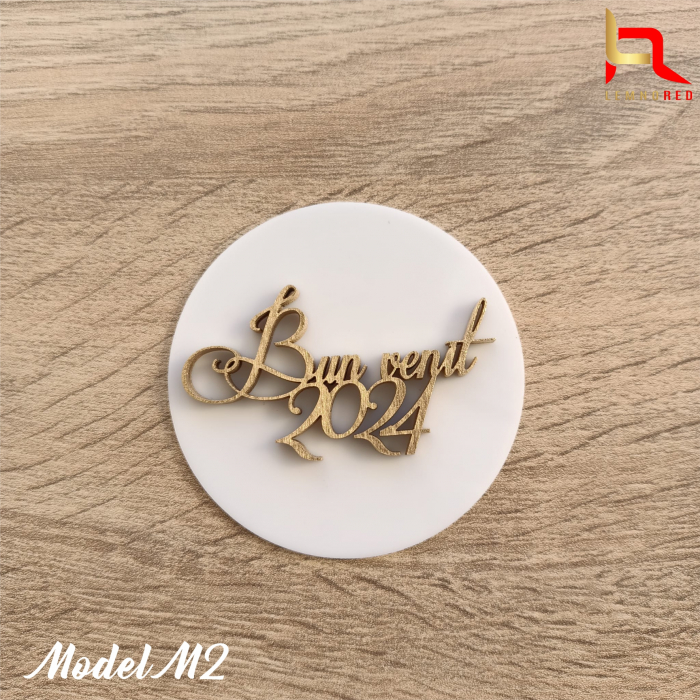 Accesoriu tort din plexiglas + aplicatie lemn "Bun venit 2024!" [6]