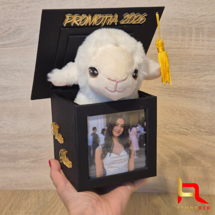 Cadou pentru absolvire - Toca Personalizata cu Poze Mesaj și plus dragalas [2]