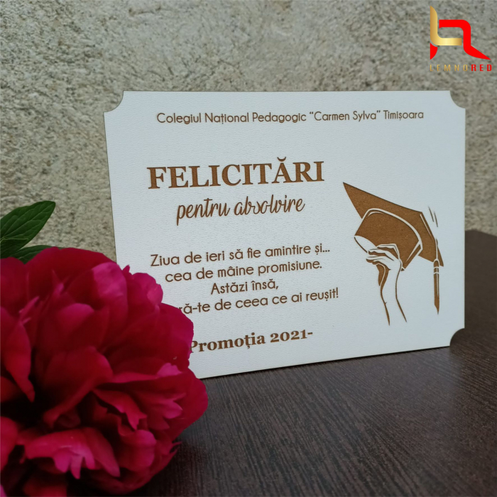 Diploma lemn personalizata ABSOLVENT [3]