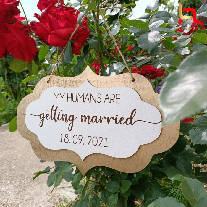 PLACUTA "My humans are getting married" [2]