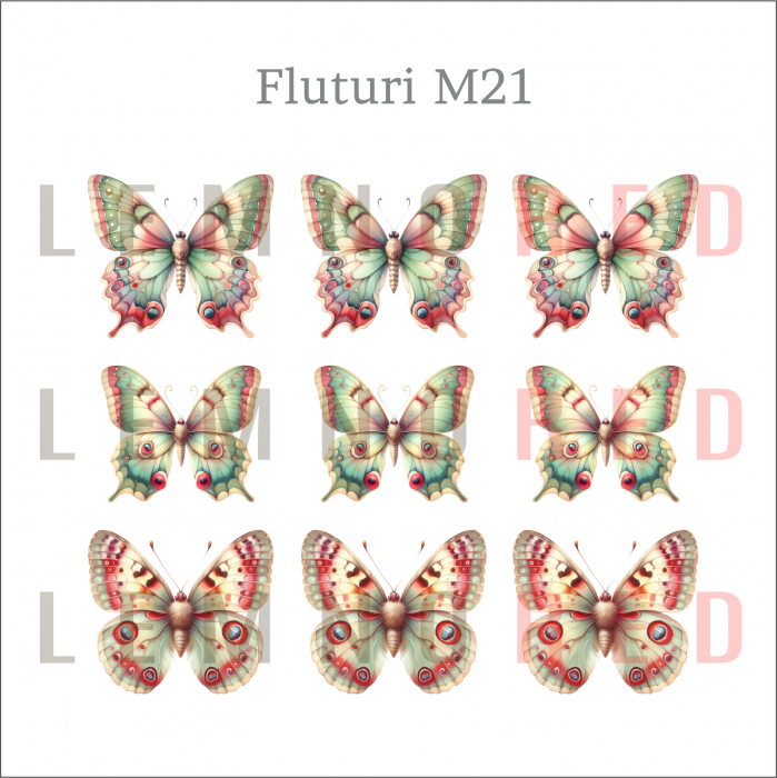 Set 9 fluturi - zeci de modele disponobile [23]