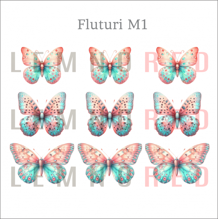Set 9 fluturi - zeci de modele disponobile [3]