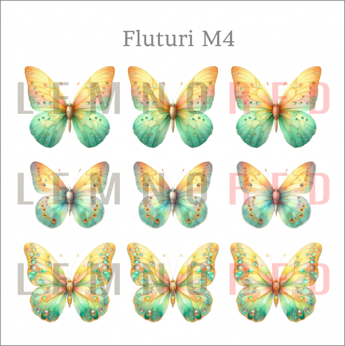 Set 9 fluturi - zeci de modele disponobile [6]