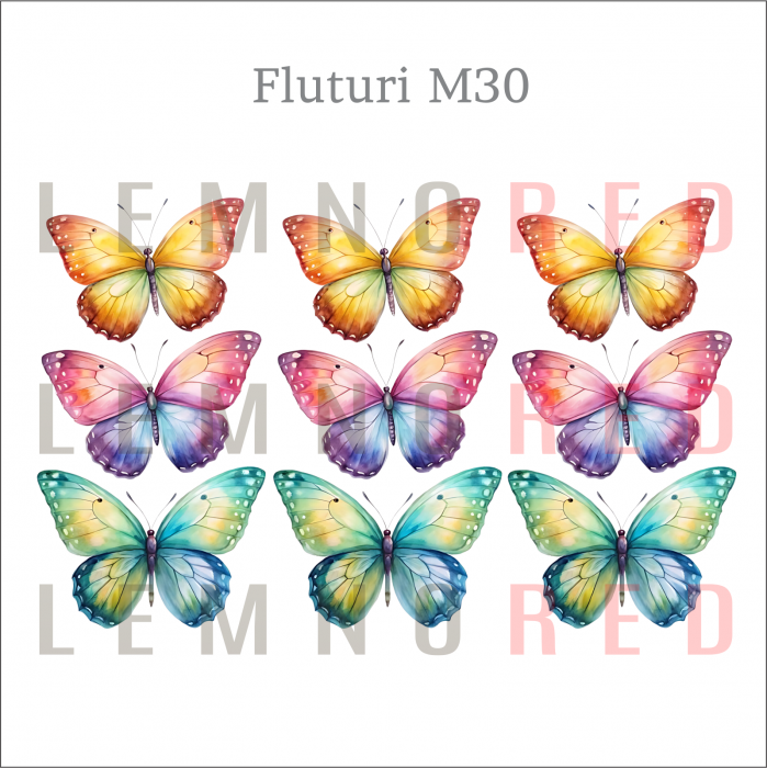 Set 9 fluturi - zeci de modele disponobile [32]