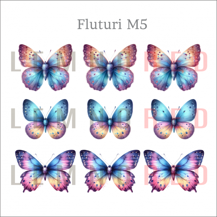 Set 9 fluturi - zeci de modele disponobile [7]
