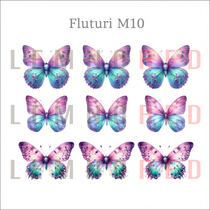 Set 9 fluturi - zeci de modele disponobile [12]
