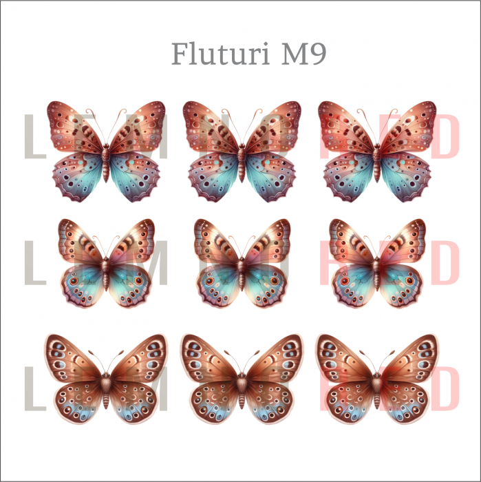 Set 9 fluturi - zeci de modele disponobile [11]