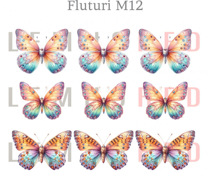 Set 9 fluturi - zeci de modele disponobile [14]
