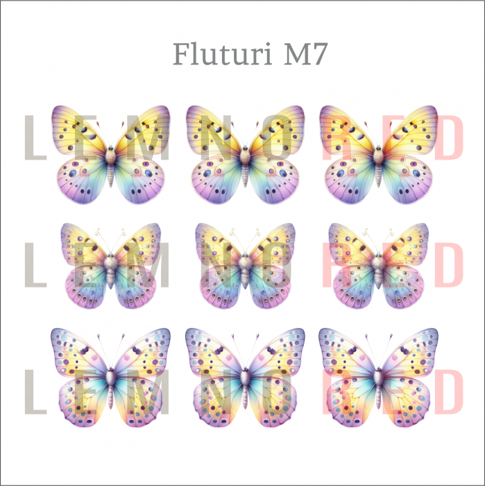 Set 9 fluturi - zeci de modele disponobile [9]