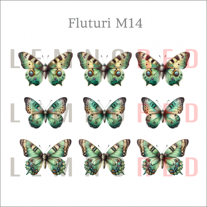 Set 9 fluturi - zeci de modele disponobile [16]