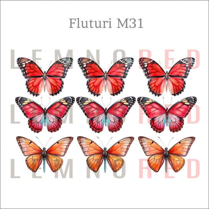Set 9 fluturi - zeci de modele disponobile [33]