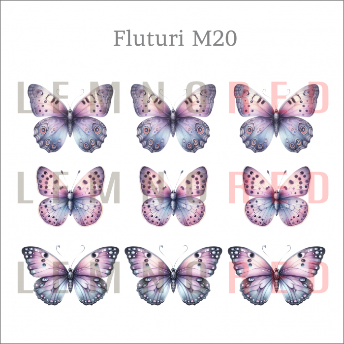 Set 9 fluturi - zeci de modele disponobile [22]