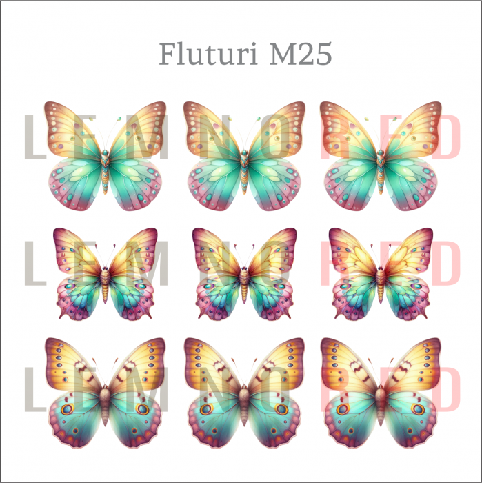 Set 9 fluturi - zeci de modele disponobile [27]