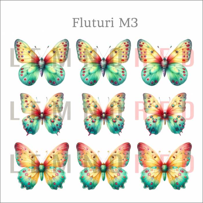 Set 9 fluturi - zeci de modele disponobile [5]