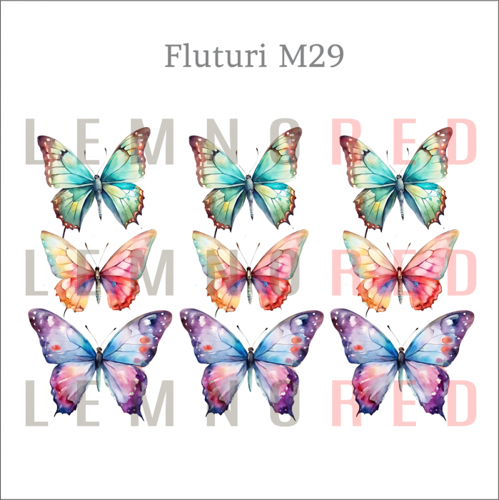 Set 9 fluturi - zeci de modele disponobile [31]