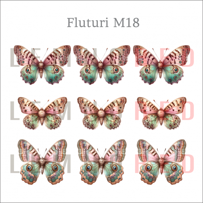 Set 9 fluturi - zeci de modele disponobile [20]