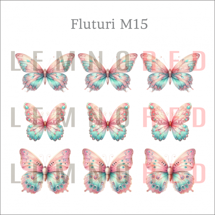Set 9 fluturi - zeci de modele disponobile [17]