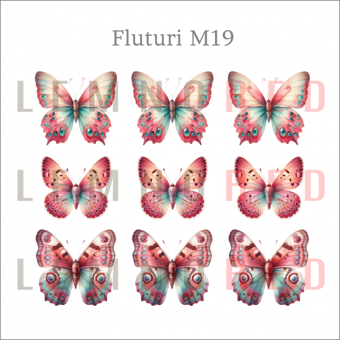 Set 9 fluturi - zeci de modele disponobile [21]
