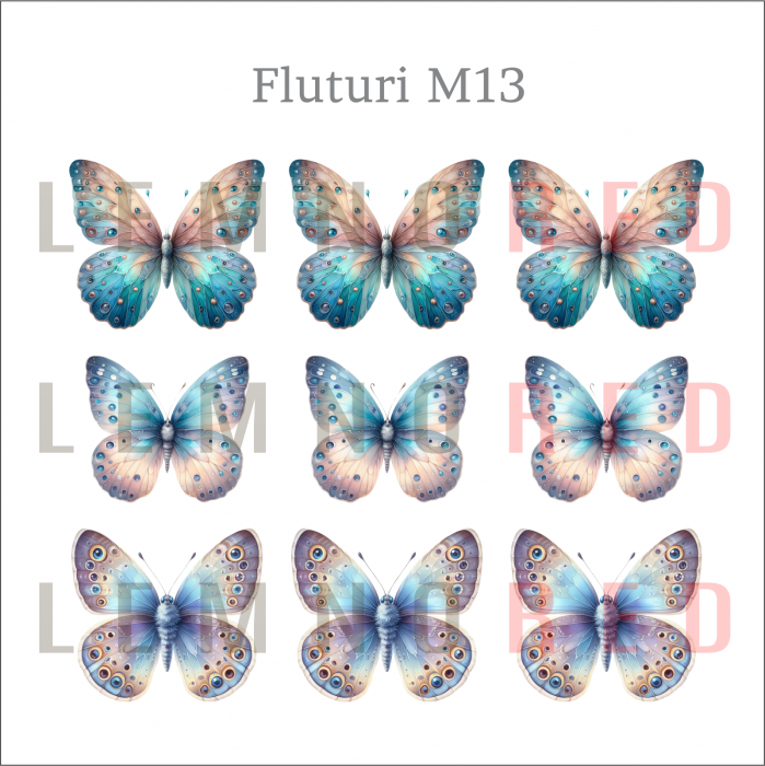 Set 9 fluturi - zeci de modele disponobile [15]