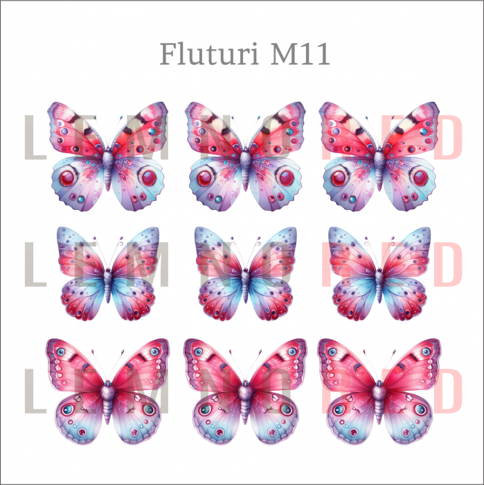 Set 9 fluturi - zeci de modele disponobile [13]