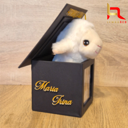 Cadou pentru absolvire - Toca Personalizata cu Poze Mesaj și plus dragalas [4]