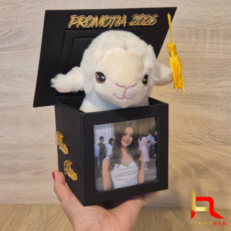 Cadou pentru absolvire - Toca Personalizata cu Poze Mesaj și plus dragalas [1]